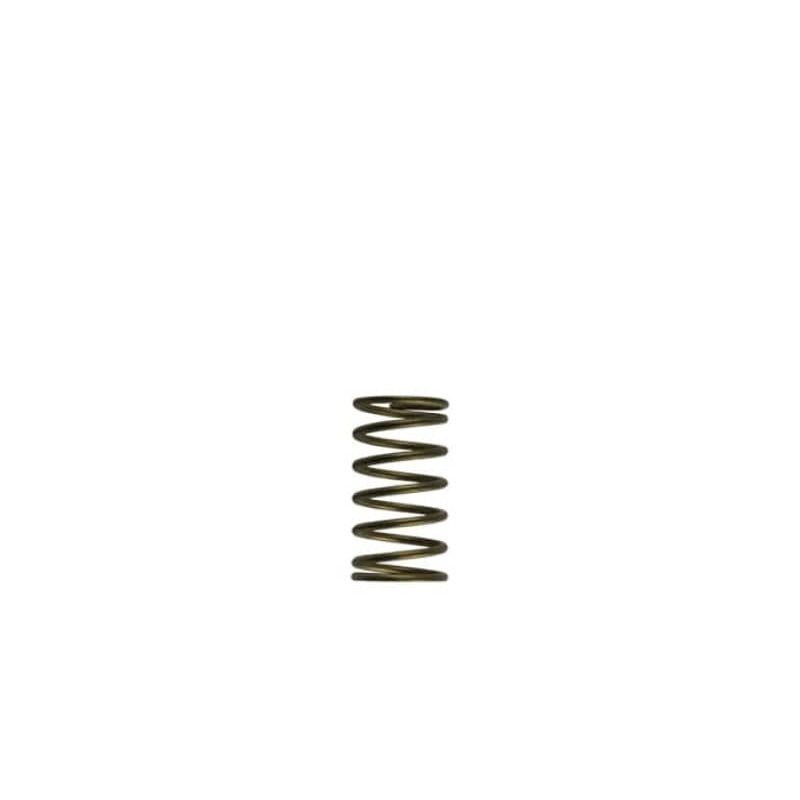 Turbosmart WG60 Gen-V 3psi Inner Spring