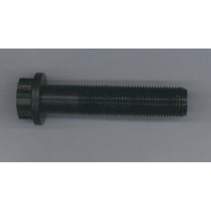 Screw M16X74